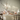 LED Glanzende dinerkaars pakket - Lichtpaars - 8 pc's 38 cm Glanzende dinerkaars